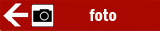 Tutte le foto dei nostri run