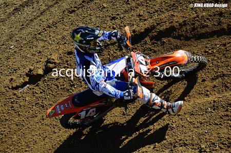 AMATORI_14_DSC_3766 b