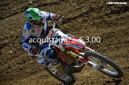 AMATORI_3_DSC_3774 b
