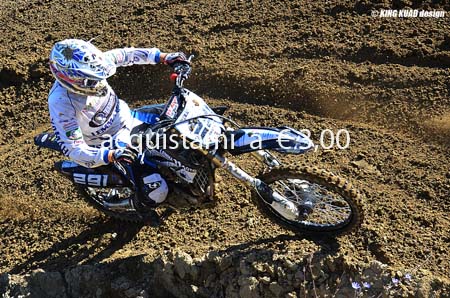 MX_291_DSC_3517