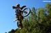 AMATORI_19_DSC_2436