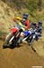 AMATORI_235 & 338_DSC_3712