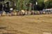 ASSOLUTA_PARTENZA_DSC_5330