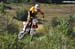 MX_153_DSC_4901