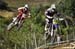 MX_323 & 510_DSC_4917