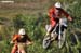 MX_333_DSC_4930