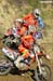 MX_PARTENZA_DSC_3457