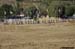 MX_PARTENZA_DSC_4882