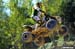 QUADCROSS_3_DSC_2710