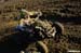QUADCROSS_3_DSC_3142