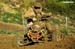 QUADCROSS_666_DSC_3227 b