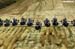 QUADCROSS_PARTENZA_DSC_2544